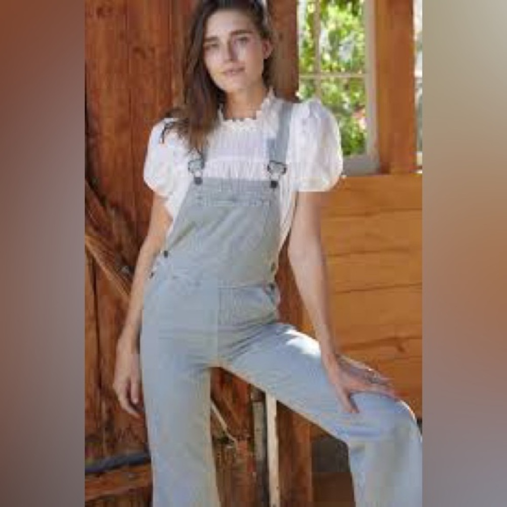 Christy Dawn Striped Denim Overalls